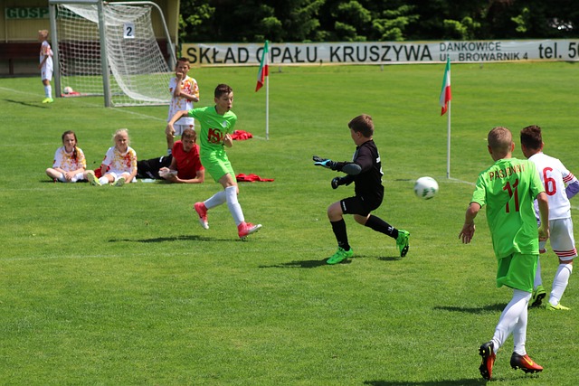 涯奠定了坚 涯奠定了坚