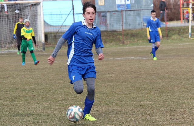 的蓬勃发展 的蓬勃发展