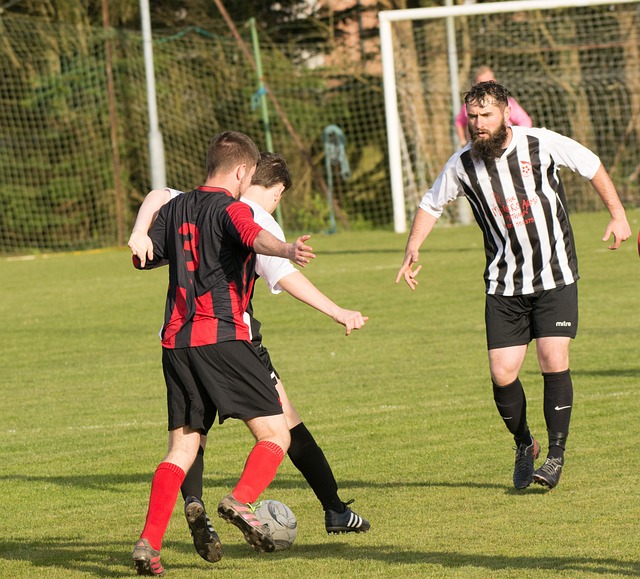 了一种耐心 了一种耐心